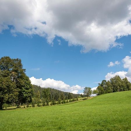 U Justina Na Brehu Lägenhet Velké Karlovice Exteriör bild